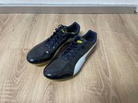 Puma Evospeed Sprint Gr 47 Sachsen-Anhalt - Havelberg Vorschau