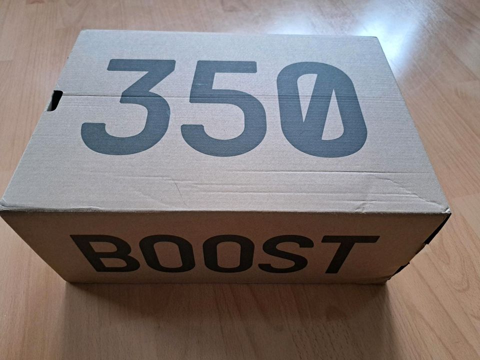 Adidas Yeezy Boost 350 V2 weiß Gr. 42 2/3.  1x getragen in Freudenberg (Oberpfalz)