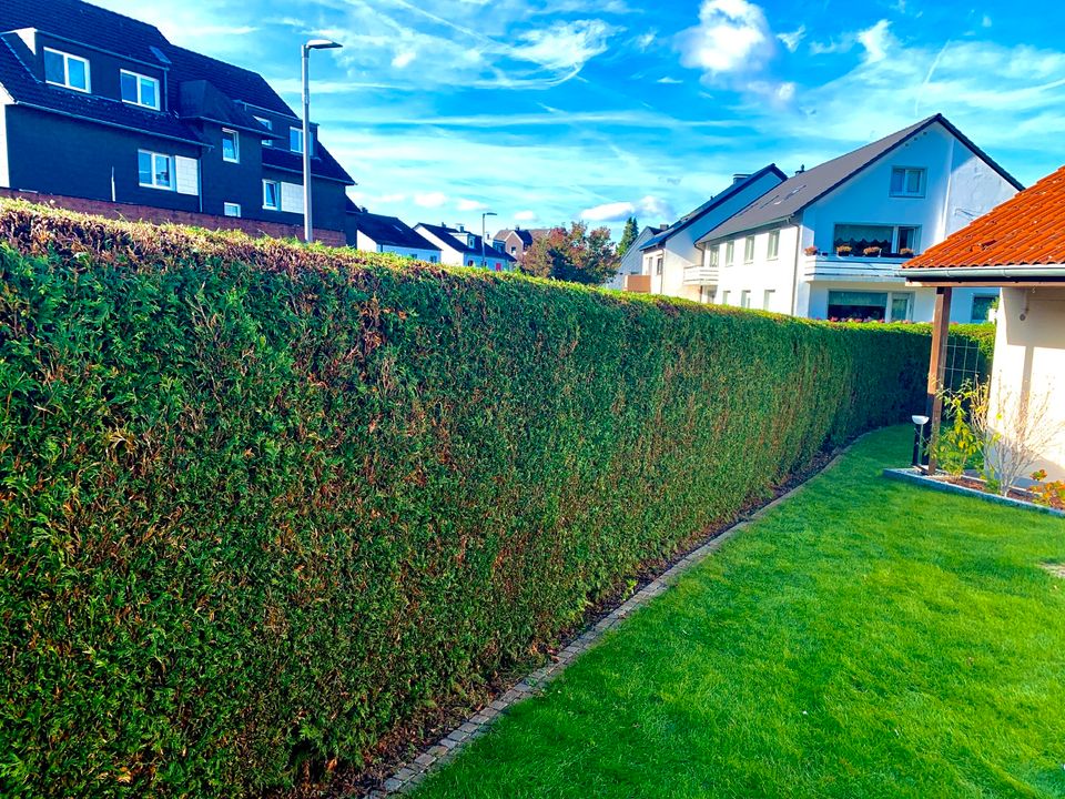 Hausmeister, Gartenpflege, Heckenschnitt, Hecke schneiden in Bochum