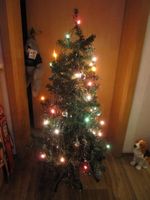Weihnachtsbaum Geschmückt Bunte Lichterkette Plastik Baum Nordrhein-Westfalen - Herne Vorschau