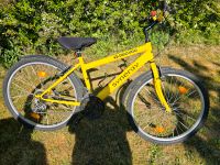 Mountainbike 24 Zoll 18 Gang 1A TOP ZUSTAND Bielefeld - Bielefeld (Innenstadt) Vorschau