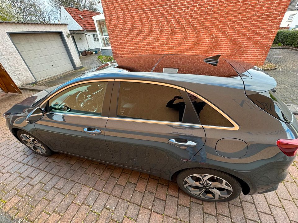 Kia cee'd / Ceed 1.4 T-GDI Platinum Edition AHK in Minden