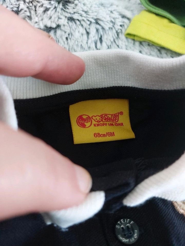 Steif Shirt gr 68 für kleine Jungs neu in Wehrbleck