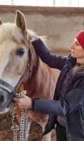 Stresspunktmassage für Pferde Bayern - Riedering Vorschau