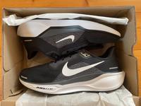 Nike Pegasus 41 Größe 44 US 10 wie NEU! Baden-Württemberg - Offenburg Vorschau