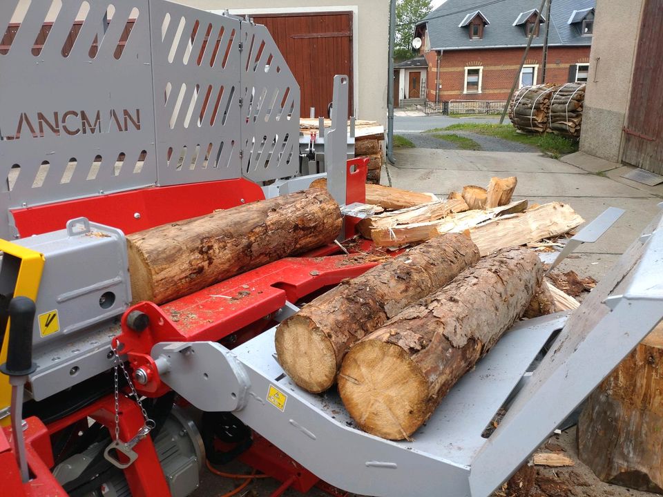 Geburtstagsgeschenk Lagerfeuer Kamin Fichtenholz in Bad Gottleuba-Berggießhübel