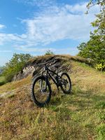 Trek Remedy 8 XT L Rheinland-Pfalz - Welling Vorschau