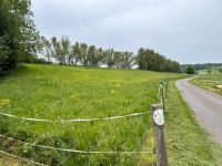 Suche Wiesen, Weiden, Grünflächen zur Heugewinnung Bayern - Karlstadt Vorschau