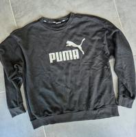 Puma Pullover Hessen - Reichelsheim (Wetterau) Vorschau