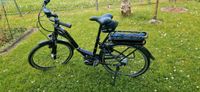 Damen E-Bike Pegasus solero E8R Thüringen - Bad Salzungen Vorschau