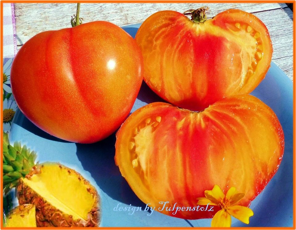 ♥ BIO Große Ananas Tomate,Alte Sorte,10 Samen,Garten,Tulpenstolz in Hamburg