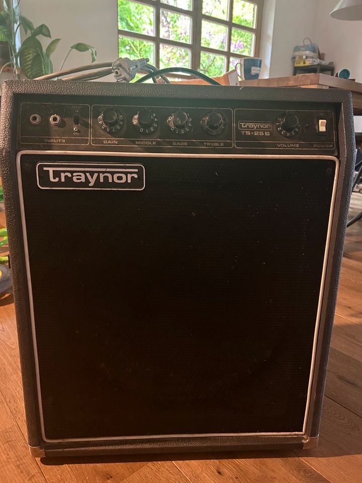 Traynor TS 25 B Gitarren Amp in Deutsch Evern