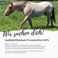 Stallhilfe/Pferdewirt*in in 14974 gesucht Brandenburg - Ludwigsfelde Vorschau