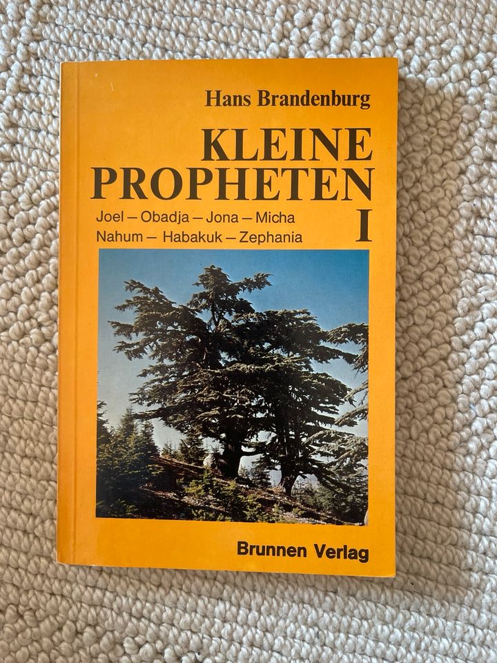 Kleine Propheten Brandenburg Bibel Altes Testament in Lengefeld