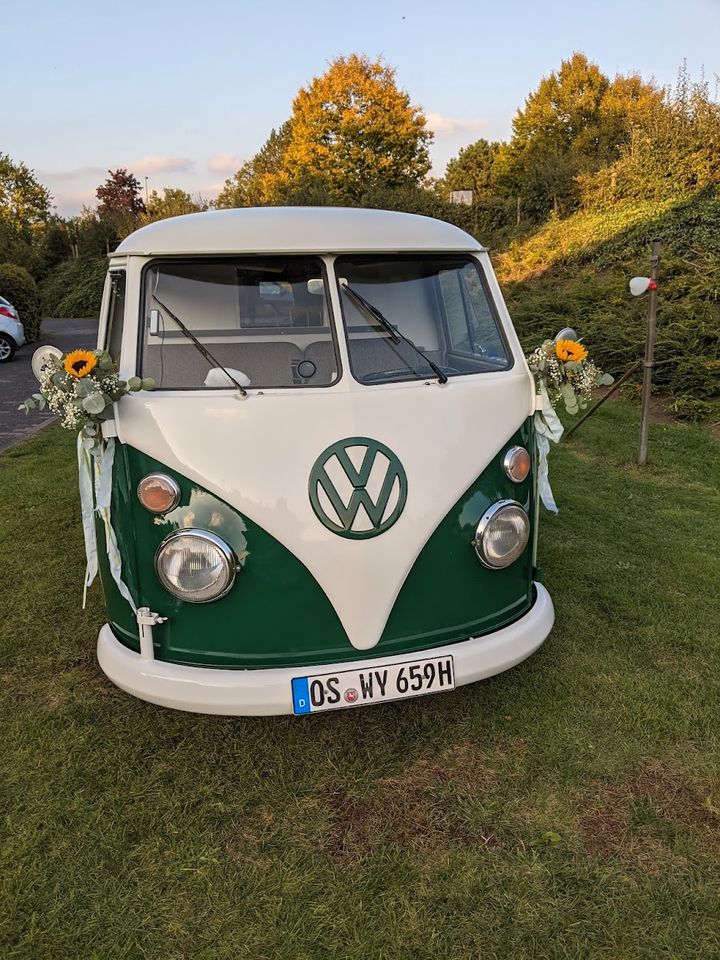 VW T1 Bulli Hochzeitsauto mieten VW-Bus Hochzeit Brautwagen T1 VW in Hilter am Teutoburger Wald