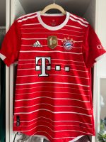 Fc Bayern München Authentic Trikot 22/23 Größe S Bayern - Landshut Vorschau