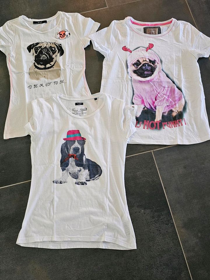 MOPS ,MOPS UND BEAGLE Shirts Gr 36 in Idar-Oberstein