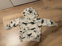 Pullover Dinosaurier Gr.98 Berlin - Steglitz Vorschau