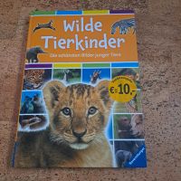 Buch, Wilde Tierkinder Niedersachsen - Waake Vorschau