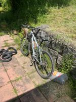 Rose Kinder mtb 26“Räder neue Reifen Baden-Württemberg - Gengenbach Vorschau