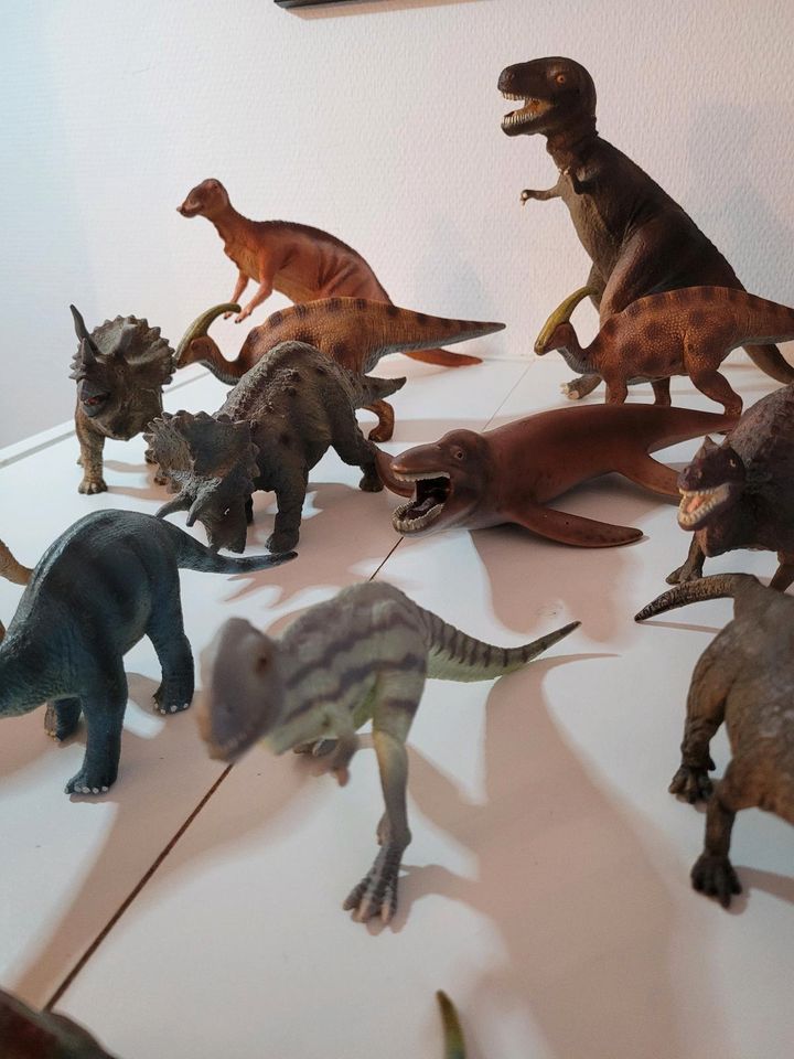 Schleich, Dinosaurier, Tiere, T-Rex, 18 Stück in Frankfurt am Main