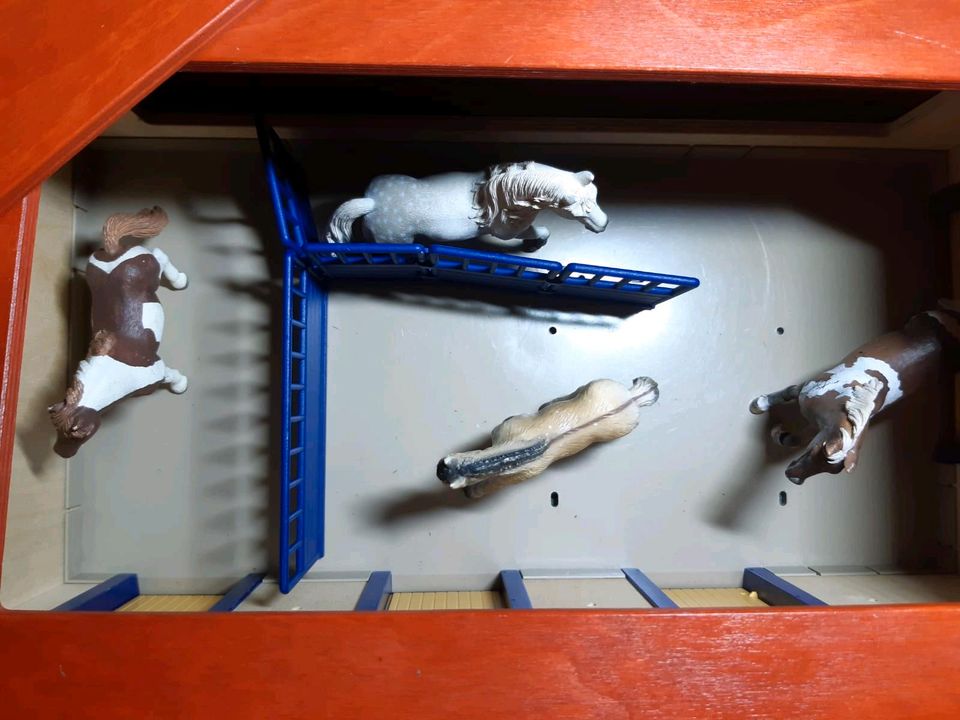 Riesen Schleich Sammlung in Homburg