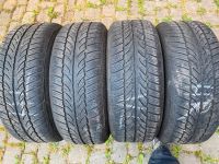 4 x Winterreifen Sportiva M+S 225/55 R17 101V mit 4 x 6,5mm Rheinland-Pfalz - Klein-Winternheim Vorschau