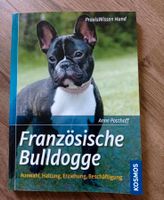 Französische Bulldogge, Praxisbuch (NP:14.99€) Sachsen - Coswig Vorschau