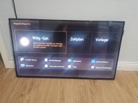 Samsung Monitor DM40E LED Kein TV Gerät! Schleswig-Holstein - Kisdorf Vorschau