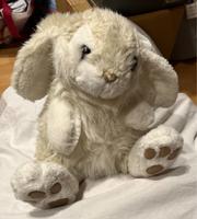 Kuschel Hase Bayern - Gangkofen Vorschau