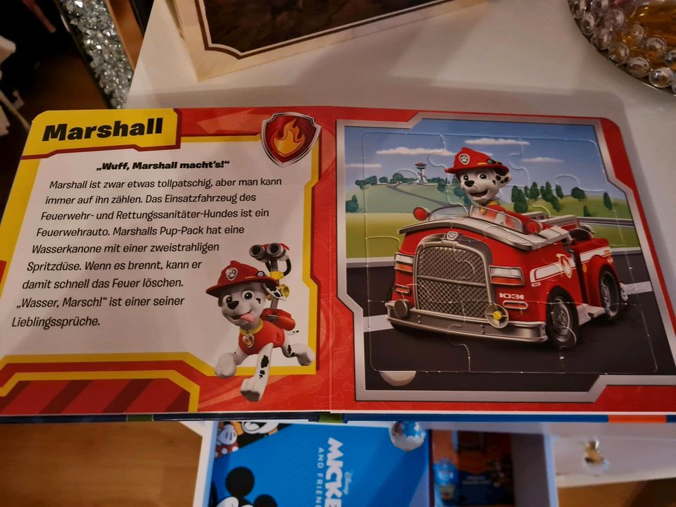 Paw Patrol Puzzlebuch in Stebach