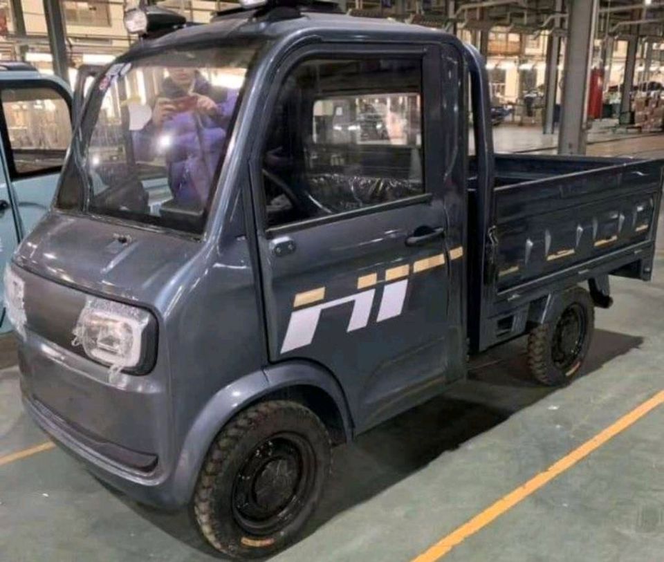 DER Toro!!! ==>  DER  Power TRUCK,  LKW im Kleinen, APE - Killer und neuester CargoRunner, zum Einführungspreis in Mandelbachtal