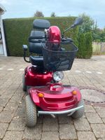 Elektro-Scooter "Freerider"- Modell Bornholm Bayern - Bad Grönenbach Vorschau