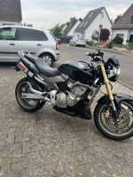 Honda Hornet pc36 Nordrhein-Westfalen - Solingen Vorschau