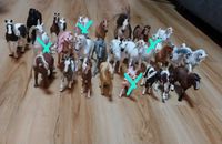 Konvolut / Schleich Pferde / Ponys / Reiter / Bayala / Bus Sachsen - Klipphausen Vorschau