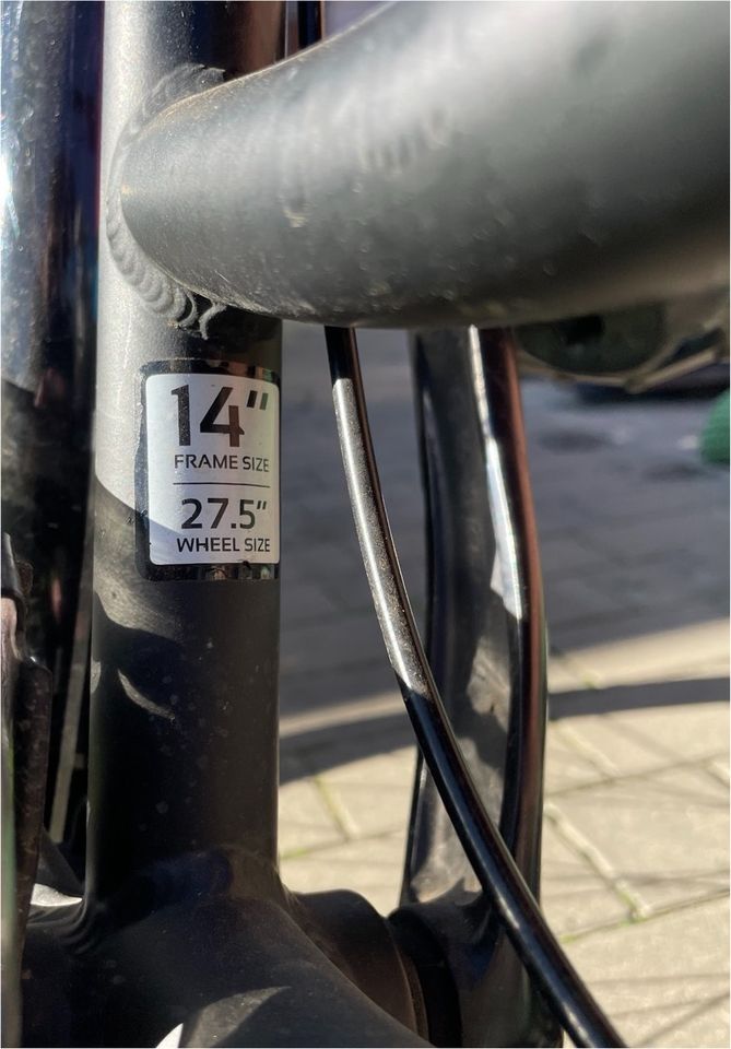 Steven Fahrrad 225 in Sickte