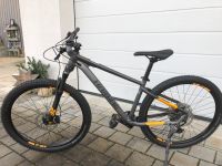 Mountainbike, Haibike Seet 10 Bayern - Oberhausen a.d. Donau Vorschau