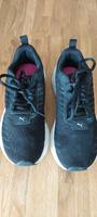 Puma Turnschuhe Sneaker Gr. 38 - TOP Bayern - Bad Aibling Vorschau