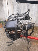 VW Touareg 7L 5.0 TDI V10 Motor 230kw 313ps AYH Motor komplett Nordrhein-Westfalen - Herten Vorschau