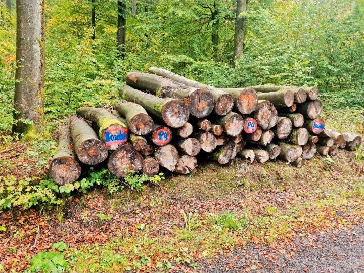 Stammholz Buche Brennholz ■Sonderposten■ inkl Lieferung frei Hof in Aschaffenburg