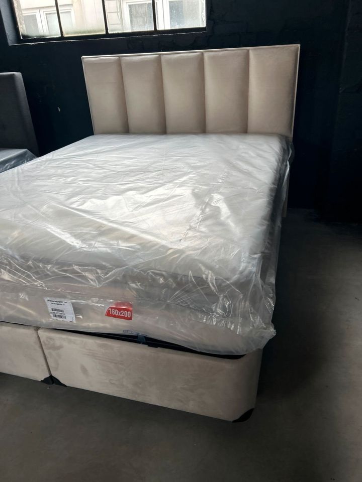 Bett mit kasten 33cm Höhe orthopädische matratze 160x200 in Hannover