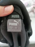 Puma Weste Damen schwarz 40 Baden-Württemberg - Erbach Vorschau