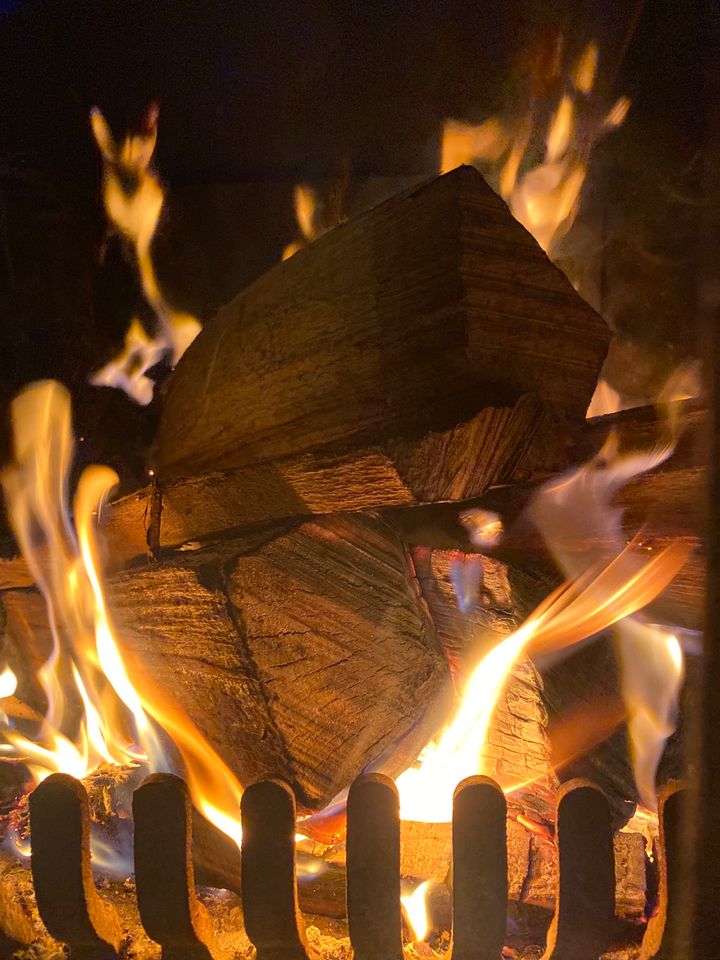 Buche Kaminholz / Brennholz 33 cm in Westerkappeln