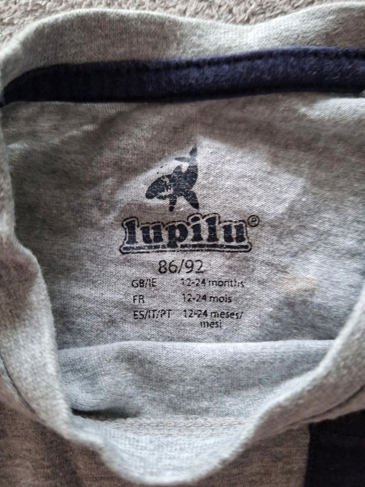Lupilu T Shirt in Gehrden
