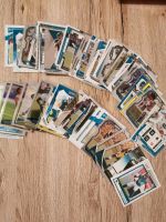 Jacksonville Jaguars NFL Panini Trading Cards verschiedene Serien Nürnberg (Mittelfr) - Mitte Vorschau