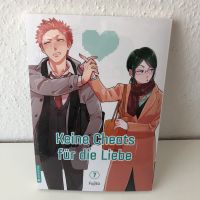 Keine Cheats für die Liebe 7 + Acrylaufsteller Narumi Manga Anime Stuttgart - Degerloch Vorschau