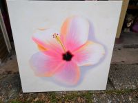 Bild auf Leinwand Hibiskus Blüte gemalt! Hessen - Bad Hersfeld Vorschau