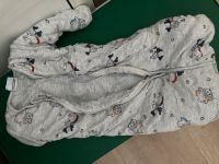 Schlafsack Baby Winter Ernstings Family neuwertig Sachsen-Anhalt - Wallhausen (Helme) Vorschau