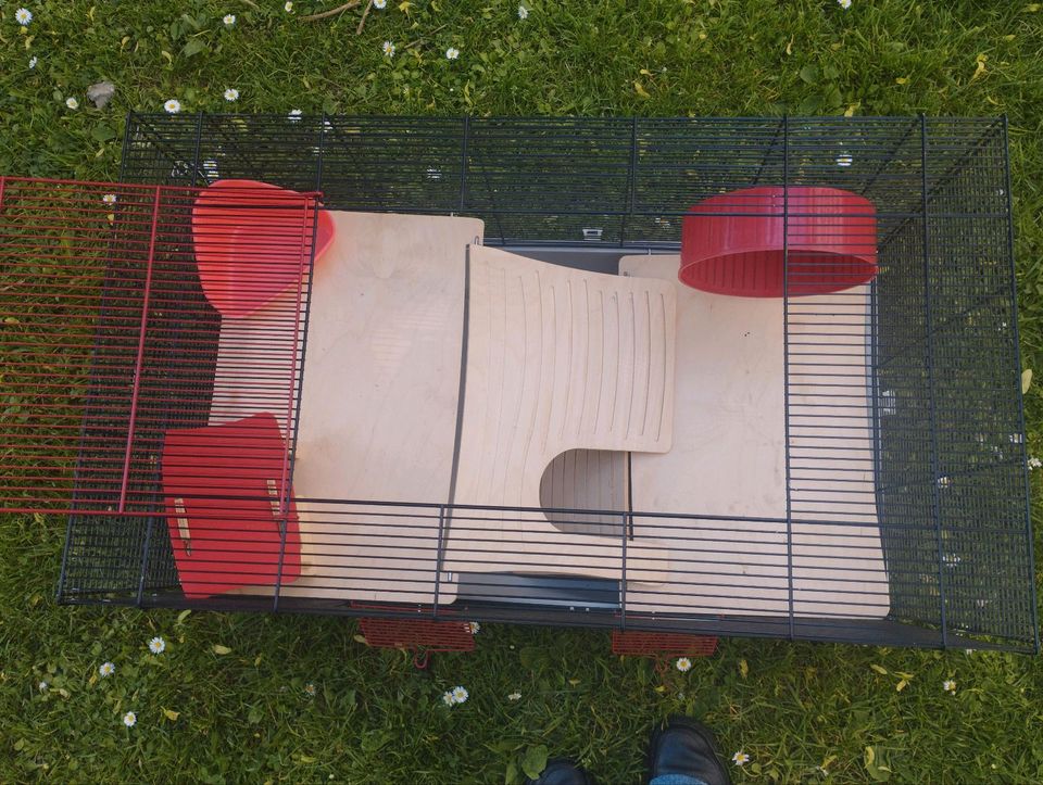 Hamsterkäfig zu verkaufen in Meschede