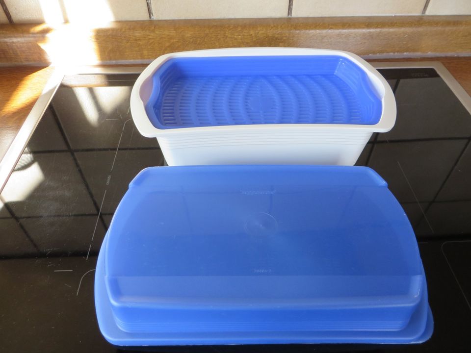 Tupperware Four Season Lunchbox 2860A blau/weiß Küche Sieb in Babenhausen